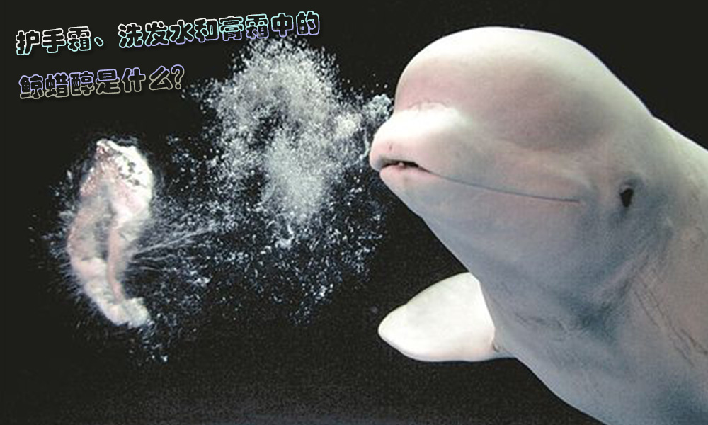 1526957080591054.jpg 2.jpg