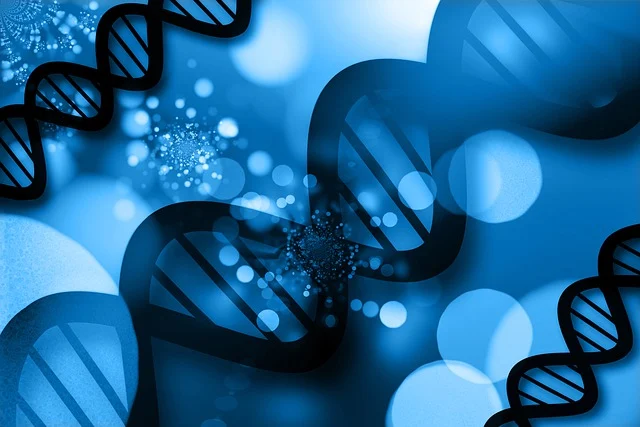 高选择性CASE(非泡PU)通用催化剂，专注于凝胶反应，提高强度