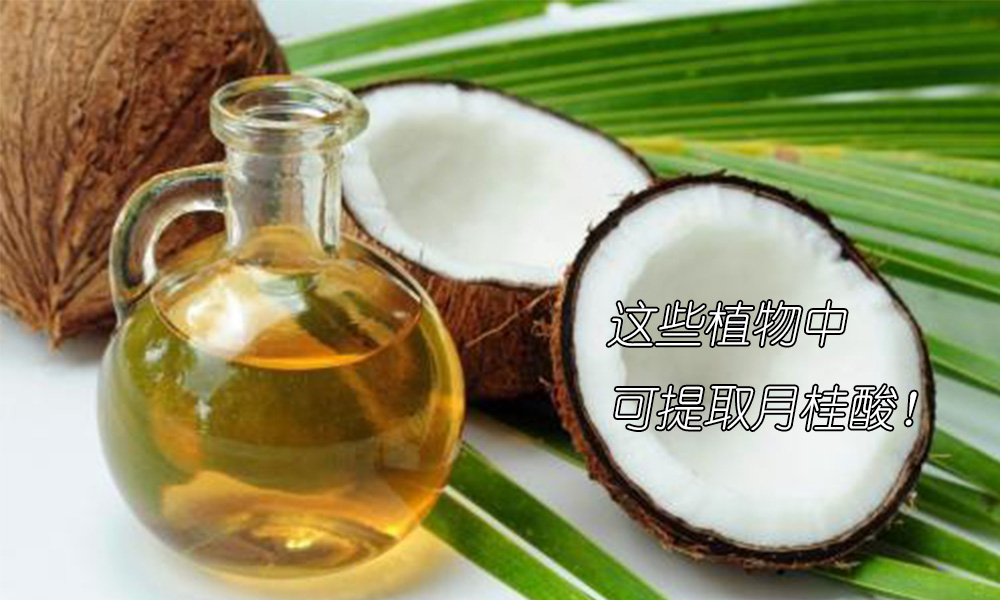 【进口月桂酸供应批发】你知道哪些植物中可提取月桂酸吗？