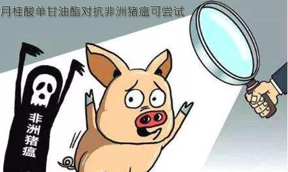 【月桂酸单甘油酯供应采购】月桂酸单甘油酯对付猪瘟可尝试